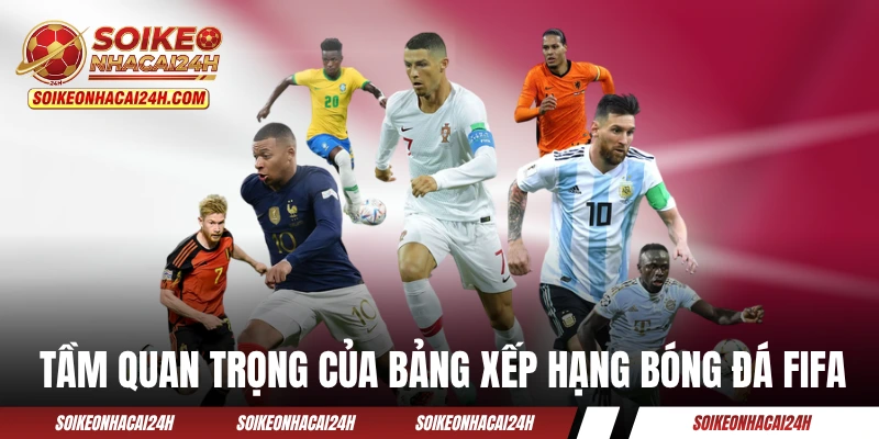 Bảng Xếp Hạng Bóng Đá Thế Giới - Cuộc Đua Không Ngừng Nghỉ Tầm quan trọng của bảng xếp hạng bóng đá FIFA