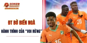 Đội Tuyển Bờ Biển Ngà - Hành Trình Của “Voi Rừng” Bắc Phi