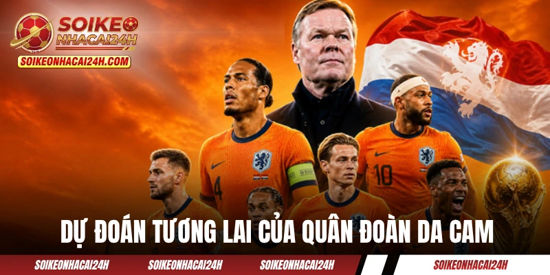 Đội Tuyển Hà Lan: Giấc Mơ World Cup Dang Dở Và Khát Vọng Lớn Dự đoán tương lai của quân đoàn da cam