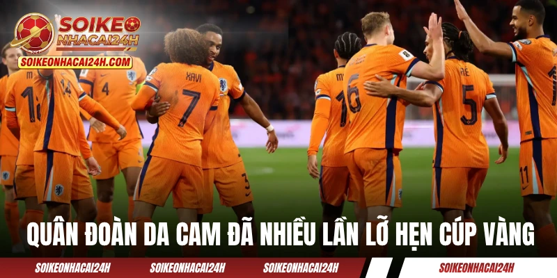 Đội Tuyển Hà Lan: Giấc Mơ World Cup Dang Dở Và Khát Vọng Lớn Quân đoàn da cam đã nhiều lần lỡ hẹn cúp vàng