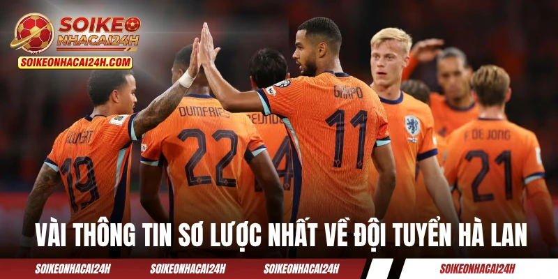 Đội Tuyển Hà Lan: Giấc Mơ World Cup Dang Dở Và Khát Vọng Lớn Vài thông tin sơ lược nhất về đội tuyển Hà Lan
