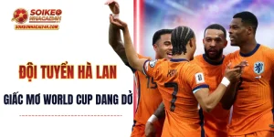 Đội Tuyển Hà Lan: Giấc Mơ World Cup Dang Dở Và Khát Vọng Lớn