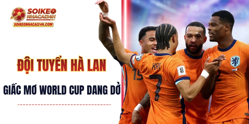 Đội Tuyển Hà Lan: Giấc Mơ World Cup Dang Dở Và Khát Vọng Lớn