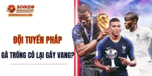 Đội Tuyển Pháp - Liệu Gà Trống Gaulois Có Lại Gáy Vang?