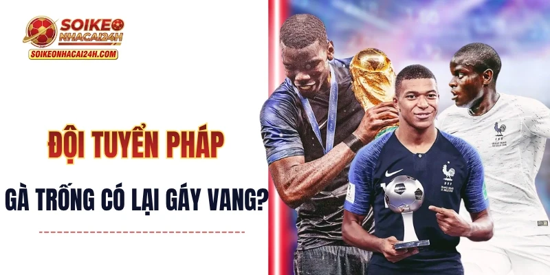 Đội Tuyển Pháp - Liệu Gà Trống Gaulois Có Lại Gáy Vang?