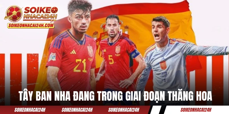 Đội Tuyển Tây Ban Nha - Quyết Tâm Chinh Phục Ngôi Vương Đội tuyển Tây Ban Nha đang trong giai đoạn thăng hoa