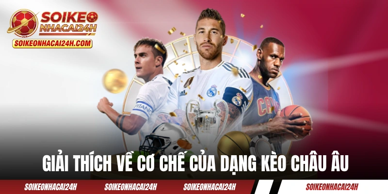Kèo Châu Âu - Hướng Dẫn Cách Chơi Kèo 3 Cửa Như Một Cao Thủ Giải thích về cơ chế của dạng kèo châu Âu