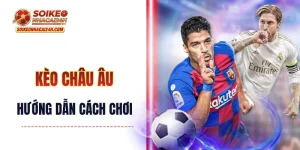 Kèo Châu Âu - Hướng Dẫn Cách Chơi Kèo 3 Cửa Như Một Cao Thủ