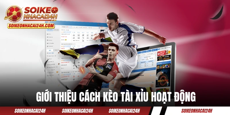 Kèo Tài Xỉu - Hướng Dẫn Cách Chơi Như Một Cao Thủ Túc Cầu! Giới thiệu cách kèo tài xỉu hoạt động trong bóng đá