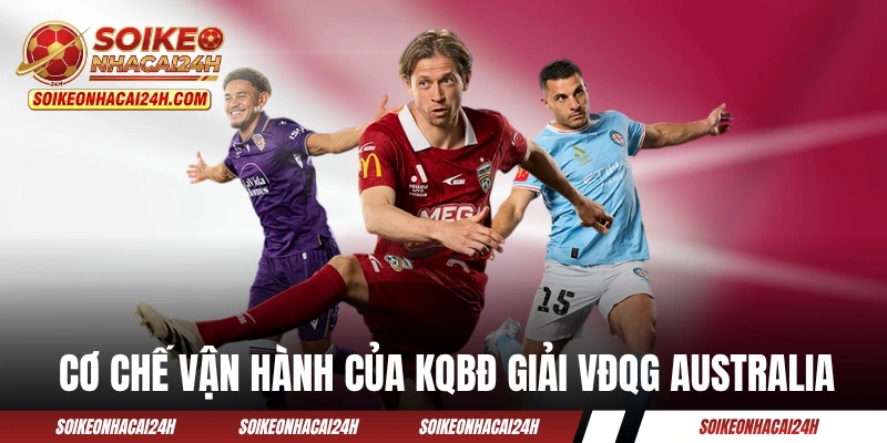 Kết Quả Bóng Đá Úc - Cập Nhật Giải VĐQG Australia Chính Xác Cơ chế vận hành của KQBĐ giải VĐQG Australia