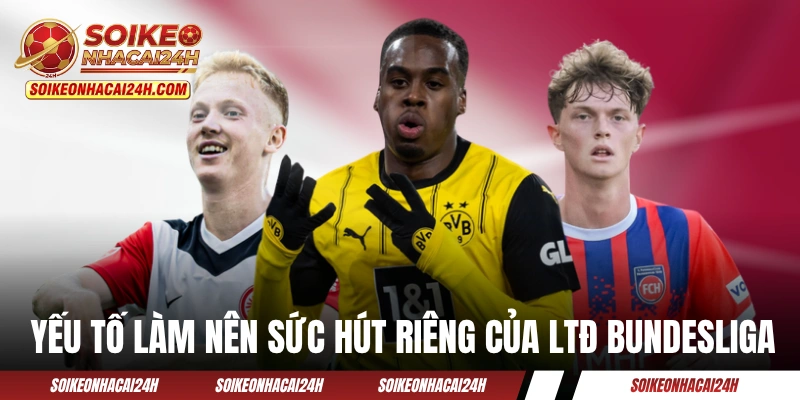 Lịch Thi Đấu Bundesliga - Sự Rực Lửa Của Bóng Đá Đức Một số yếu tố làm nên sức hút riêng của LTĐ Bundesliga