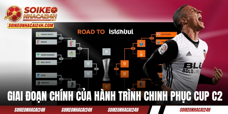 Lịch Thi Đấu Cup C2 - Cập Nhật Mùa Giải 2025/2026 Từng Ngày Giai đoạn chính của hành trình chinh phục Cup C2