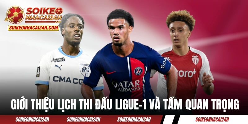 Lịch Thi Đấu Ligue-1 - Cập Nhật Vòng Đấu VĐQG Pháp Mới Nhất Giới thiệu lịch thi đấu Ligue-1 và tầm quan trọng