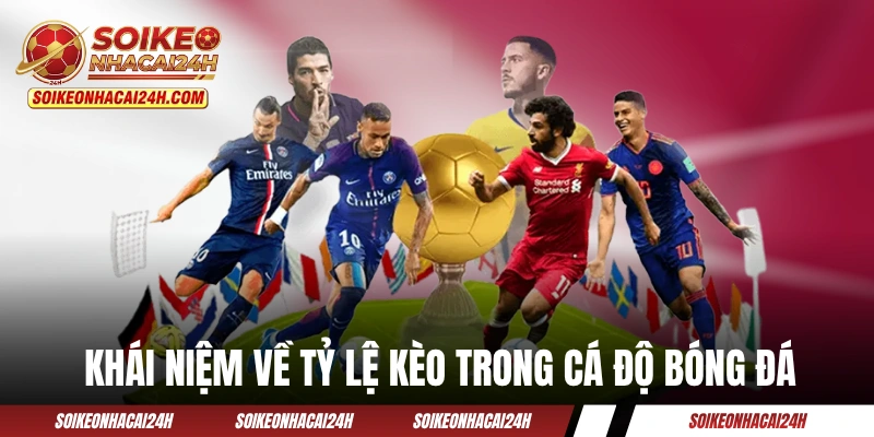 Khái niệm chính xác về tỷ lệ kèo trong cá độ bóng đá