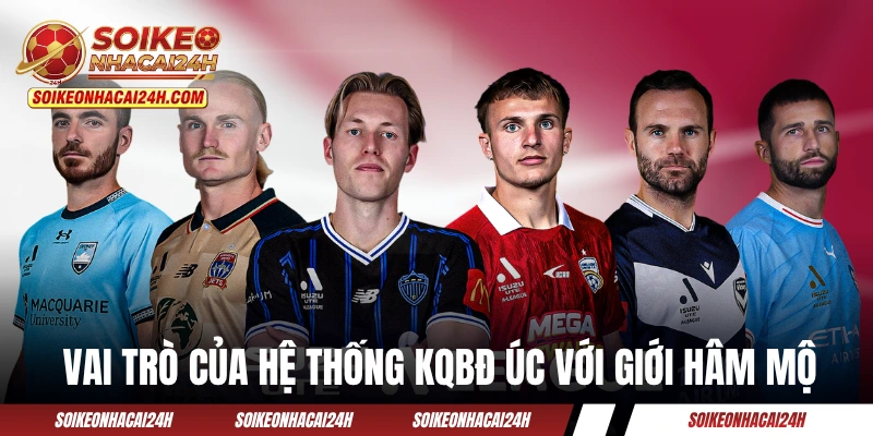 Kết Quả Bóng Đá Úc - Cập Nhật Giải VĐQG Australia Chính Xác Vai trò của hệ thống KQBĐ Úc với giới hâm mộ