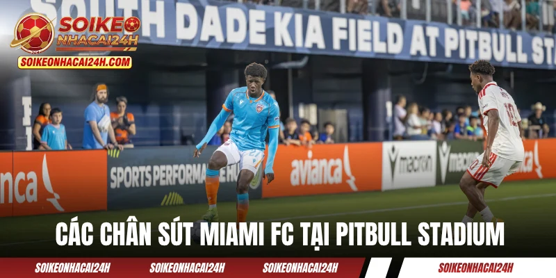 Miami FC - "Gã Khổng Lồ" Lâu Đời Nhưng Ít Được Biết Đến Các chân sút Miami FC tại Pitbull Stadium
