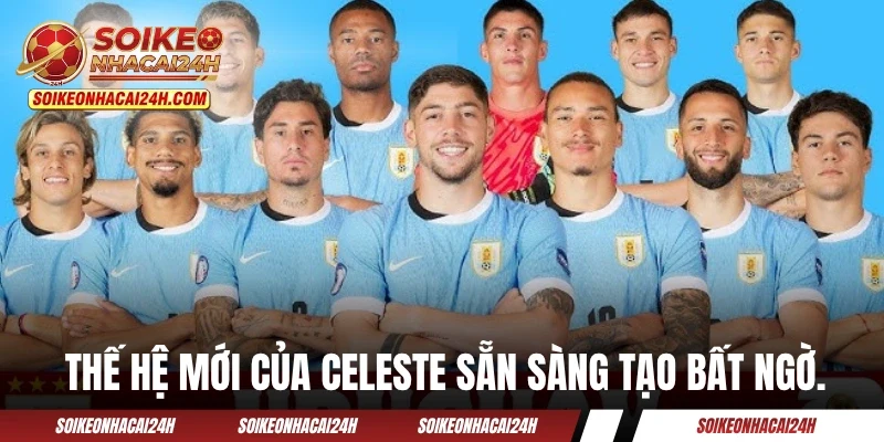 Đội Tuyển Uruguay: Phụ Thuộc Tài Cầm Quân Của Marcelo Bielsa? Thế hệ mới của bóng đá Celeste sẵn sàng tạo bất ngờ.