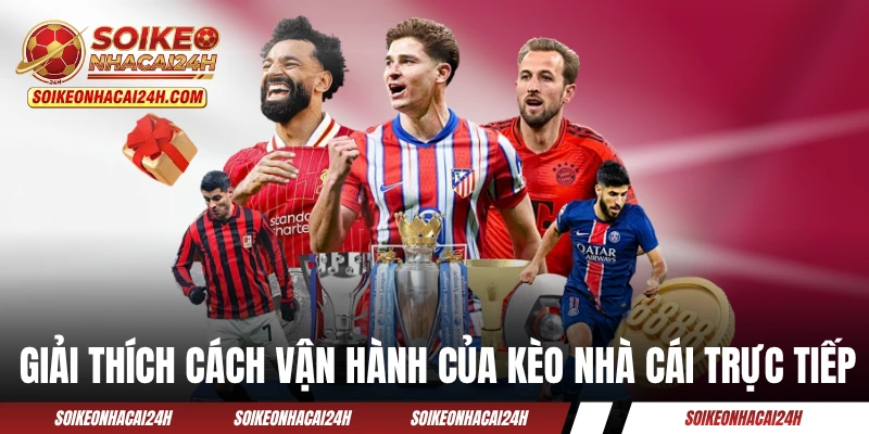 Kèo Nhà Cái Trực Tiếp - Bật Mí Mẹo Bắt Kèo Rung Cực Chuẩn Giải thích về cách vận hành của kèo nhà cái trực tiếp