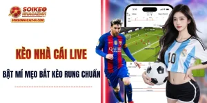 Kèo Nhà Cái Trực Tiếp - Bật Mí Mẹo Bắt Kèo Rung Cực Chuẩn