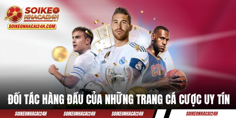 Trang Cá Cược Uy Tín: 4 Yếu Tố Giúp “Săn” Địa Chỉ Chất Lượng Các đối tác hàng đầu của những trang cá cược uy tín