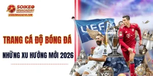 Trang Cá Độ Bóng Đá 2026 - Những Xu Hướng Nào Đang Lên Ngôi?